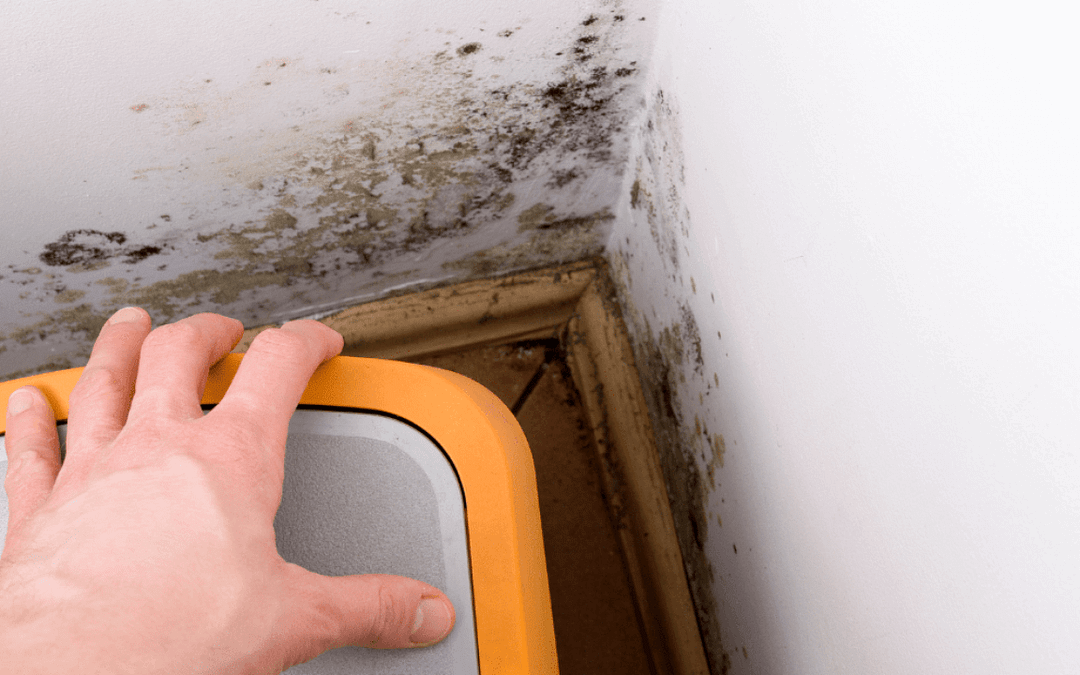 Breath of Fresh Air: Superior Indoor Air Quality with SpreadX