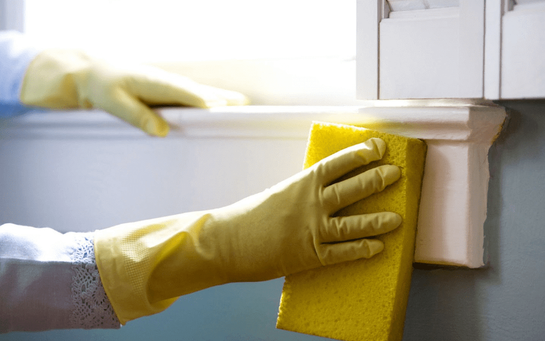 Understanding Mold Spread: Moisture vs. Dry Environments