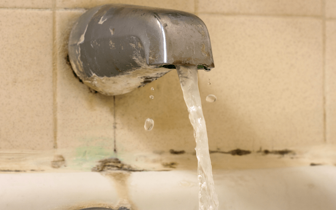 Can Mold Grow in Water? Myths vs. Facts