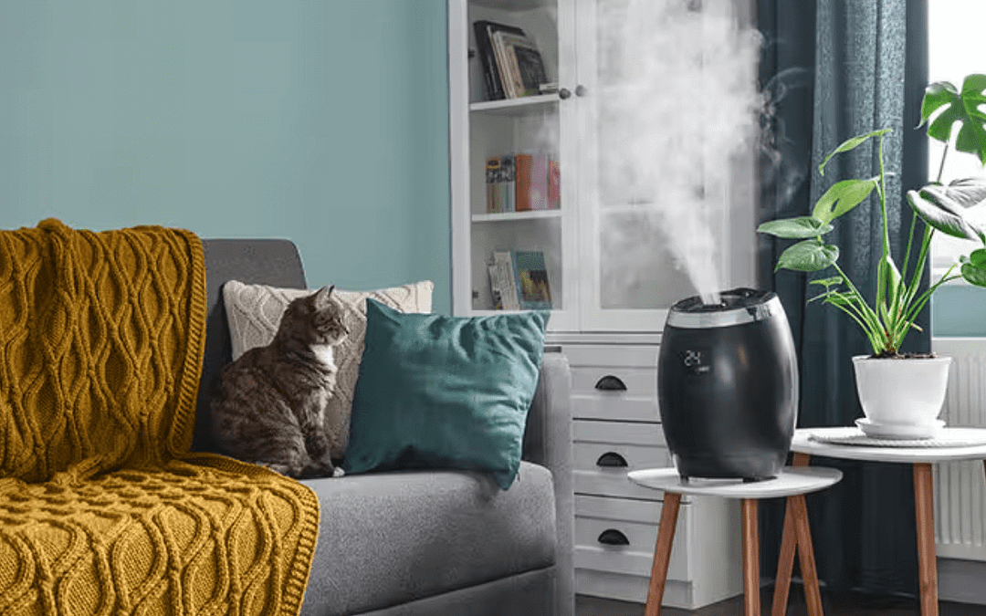 Tips for Preventing Mold in Your Home or Business, Even Without Moisture
