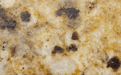 Beware of Mold Disease: Protecting Your Health and Home