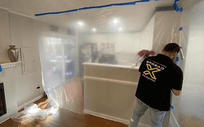 Mold Allergies: Causes, Symptoms & Best Measures