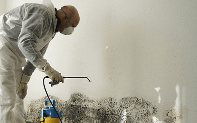 The Truth About Mold Inspection Pricing: What You Need to Know