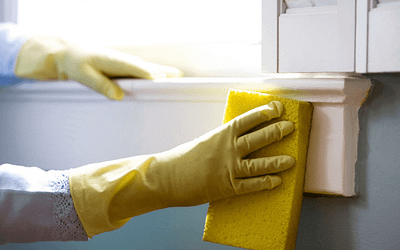 Understanding Mold Spread: Moisture vs. Dry Environments