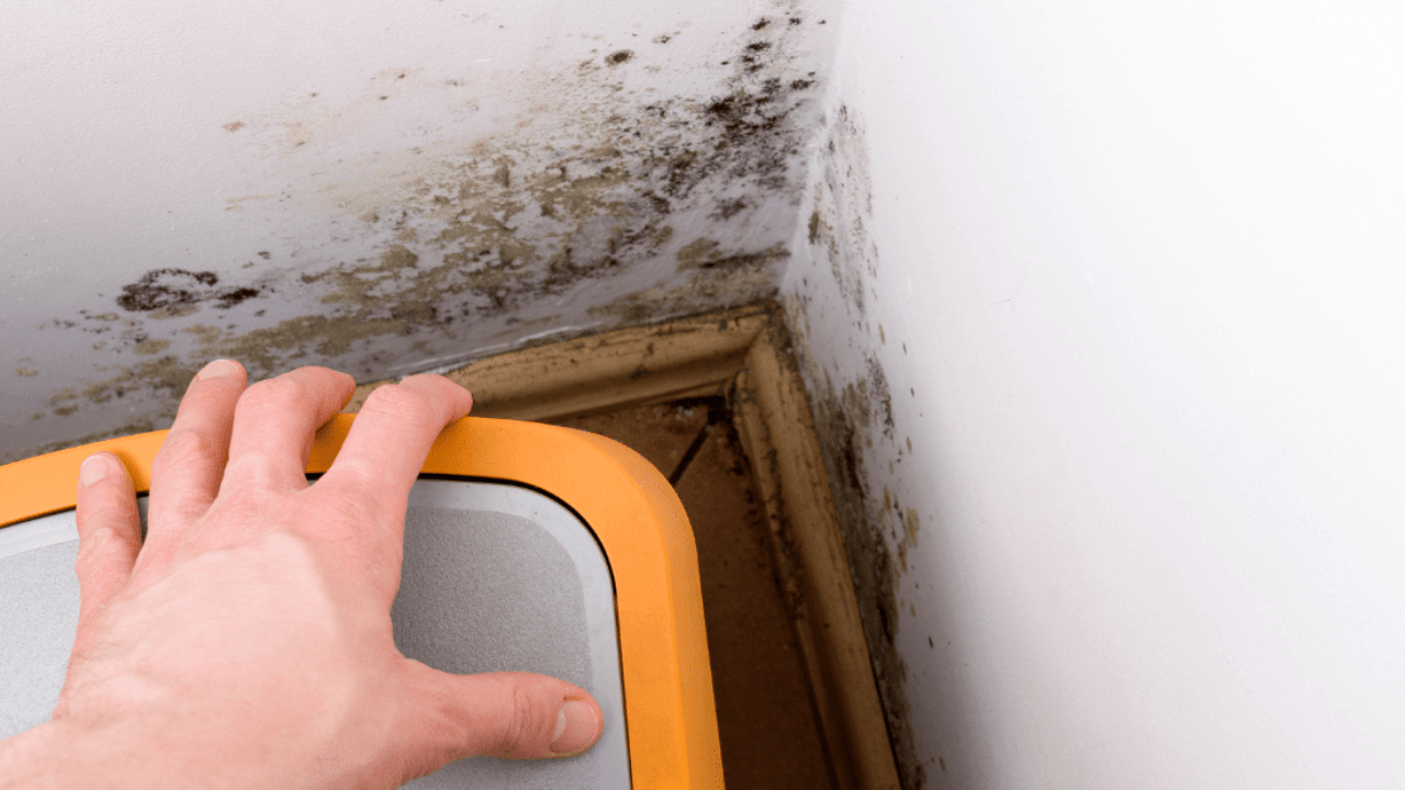 Breath of Fresh Air_ Superior Indoor Air Quality with SpreadX – Copy