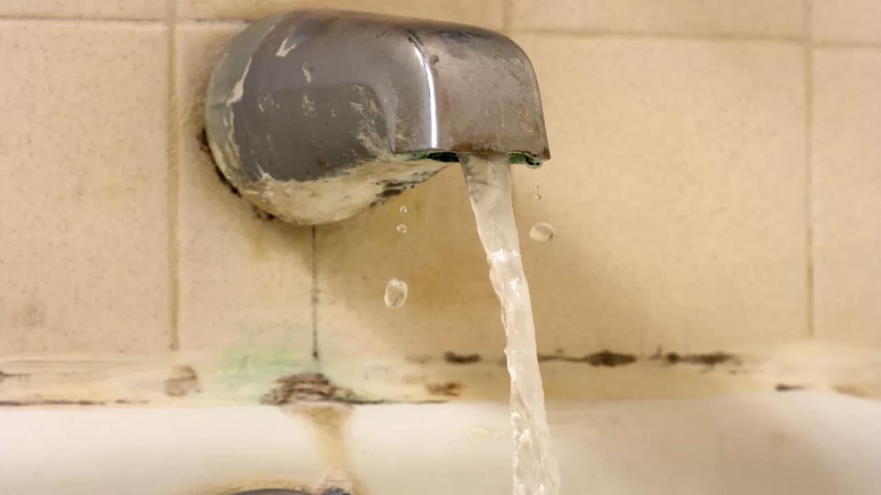 Can Mold Live in Water Debunking the Myths and Exploring the Facts