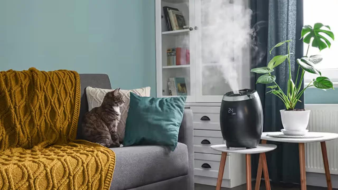 Tips for Preventing Mold in Your Home or Business, Even Without Moisture