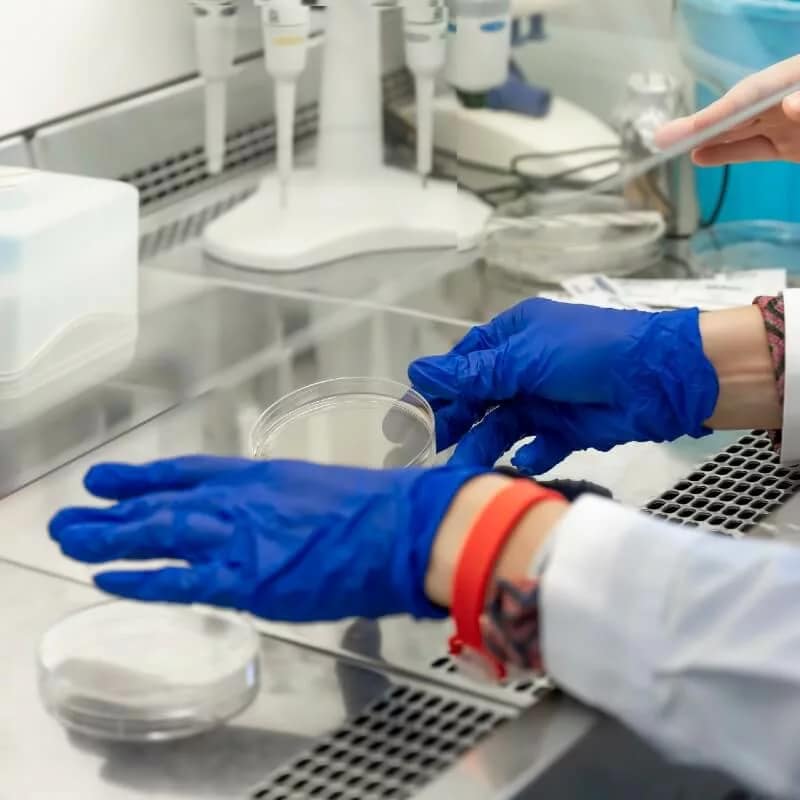 Professional Lab Testing from REAL Mold Specialists Mold Testing Thumbnail - A Laboratory Technician Testing Samples for Mold Growth