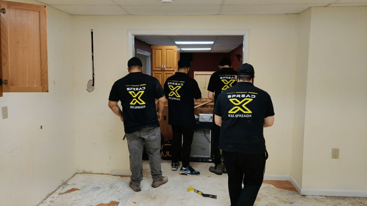 DIY Mold Removal vs. Professional Mold Remediation DIY Mold Removal vs. Professional Mold Remediation - Spread X